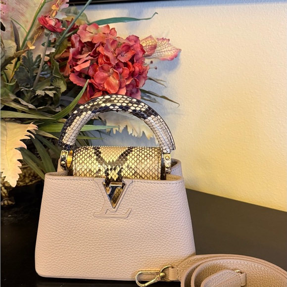 Louis Vuitton Capucines Mini Python - Picture 1 of 14